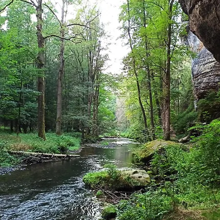 Appartement Waldex *